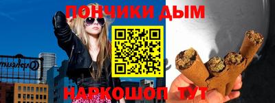 прущие грибы Краснодар
