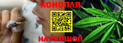прущие грибы Краснодар