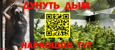 прущие грибы Краснодар