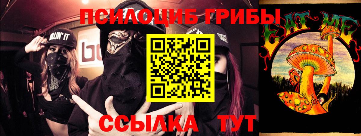 Галлюциногенные грибы MAGIC MUSHROOMS  Вход с VPN  Заволжье  Псилоцибиновые грибы мицелий 